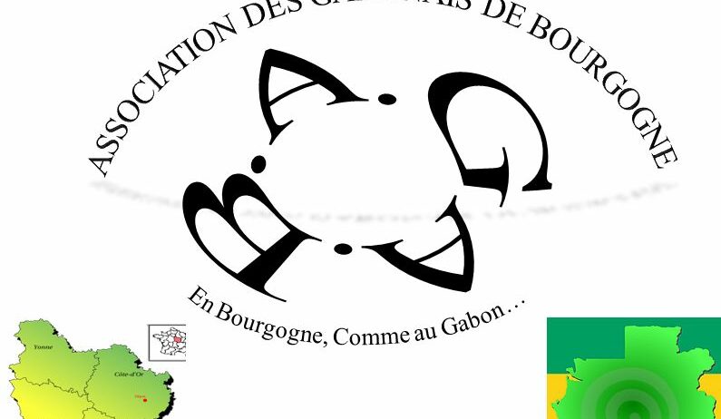 Association des Gabonais de Bourgogne (AGAB)